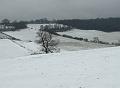 2008-0324_1230_Botley_Hill_1_C